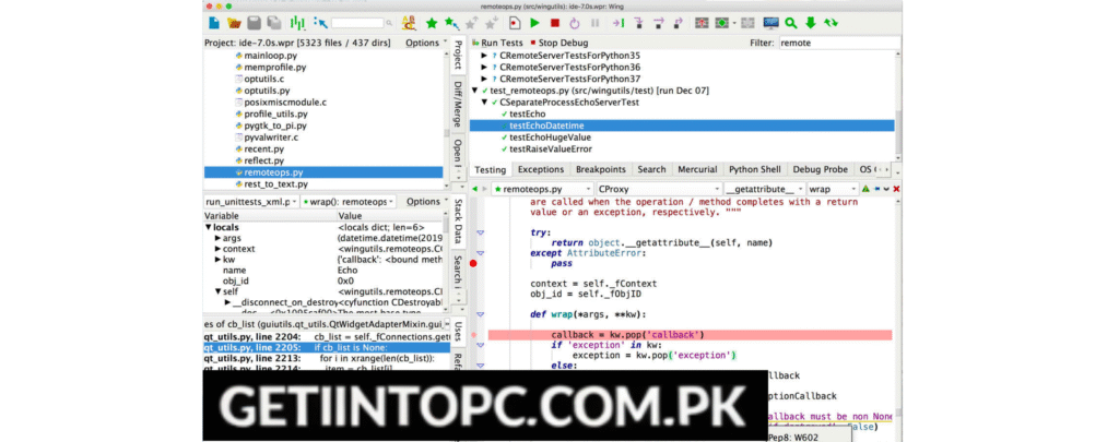 Wing IDE Pro 10 Free Download Full Crack